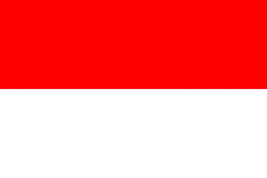 Connecting to a server in Indonesia